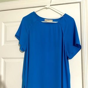 Beautiful Blue Blouse